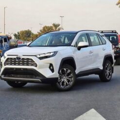Toyota RAV4 Hybrid 2.5P 2024 — Monstro Hard