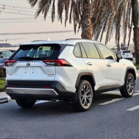 Toyota RAV4 Hybrid 2.5P 2024 — Monstro Hard
